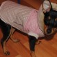 Mi niña wapa lista para salir en un día de lluvia!